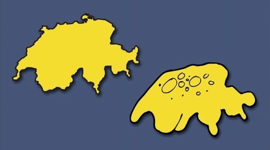 Schweiz - Amöbe