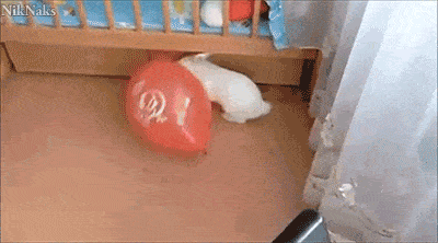 Der Hase und der Luftballon