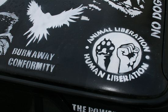 Anarchistische Auto Lackierung