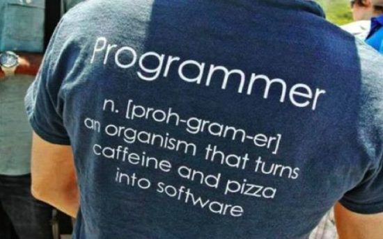 Definisjon av en programmerer