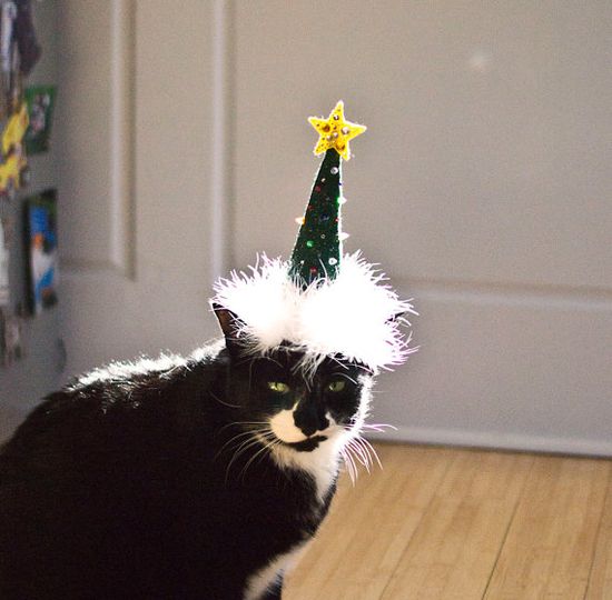 Hüte für Katzen - Cat Hats