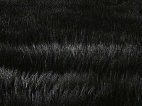 DBD: Never Let Me Down Again – Depeche Mode