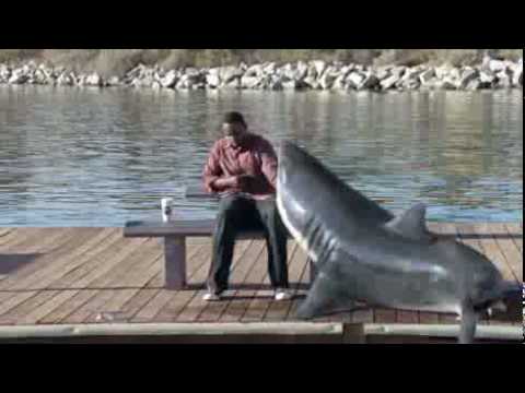 Hai am Arm festgebissen – Quit Smoking Shark