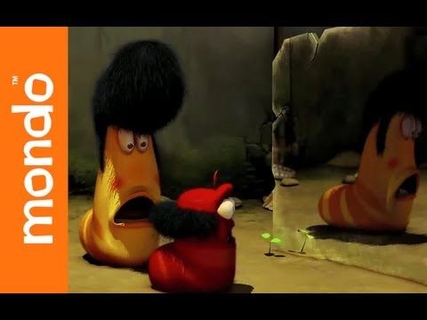 Larva – Hair-Growth Solution