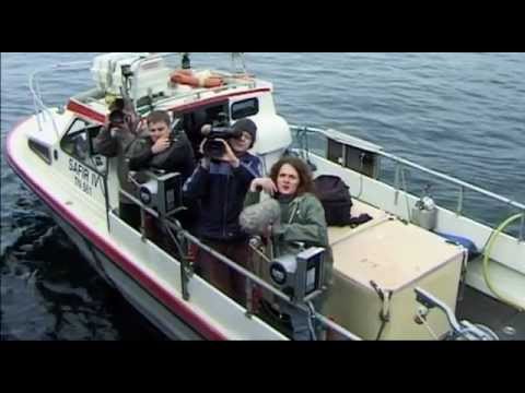Paul Watson Bekenntnisse eines Ökoterroristen