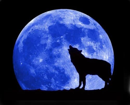 Blue Moon Rises Tonight