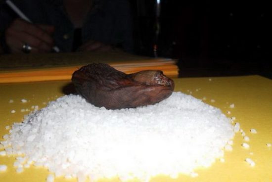 Sourtoe Cocktail Club
