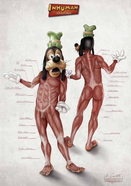 Inhuman Anatomy