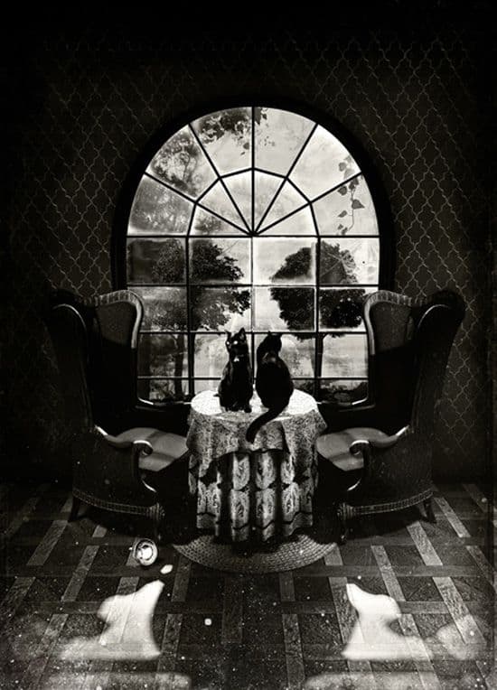 Room Skull
