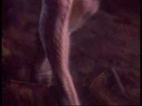 DBD: Metal Videos zu Halloween