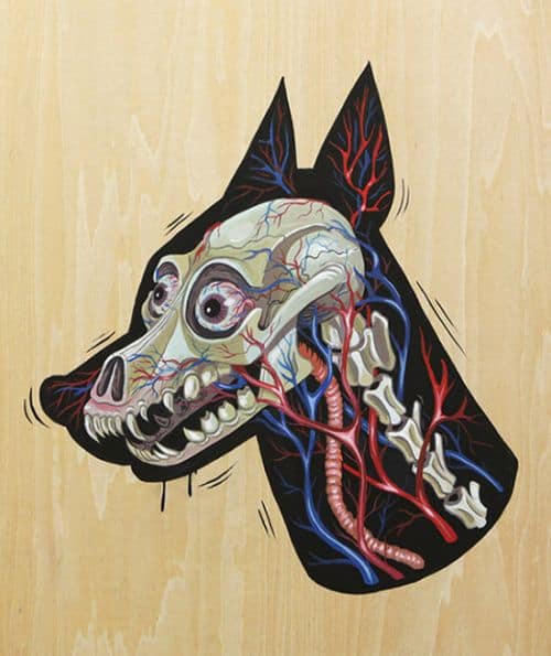 Nychos seziert nen Hund