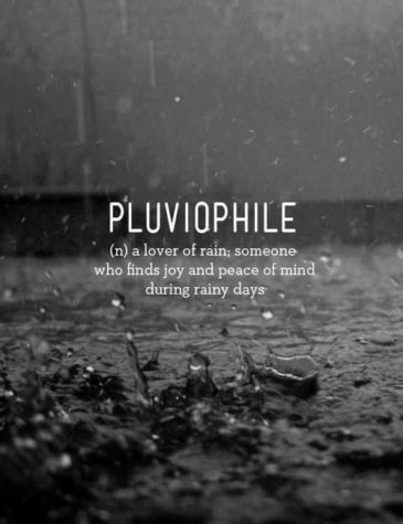 Pluviophile