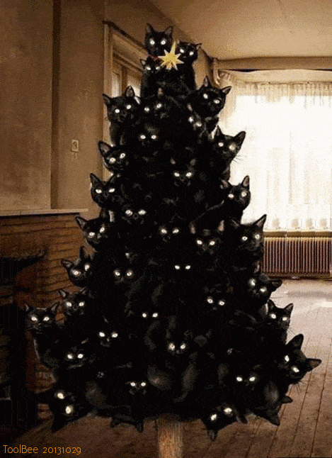 (TO) Ampli Megahertz Audio OTL con 6080 per cuffie Katze-versteckt-sich-im-Weihnachtsbaum