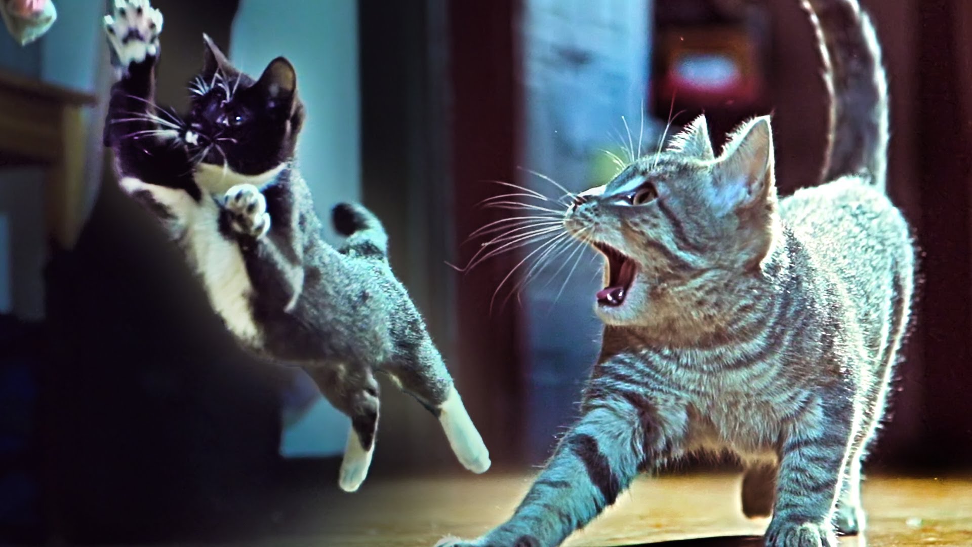 iso kalu murto varkaat kuuma Ebony lesbot kuvia