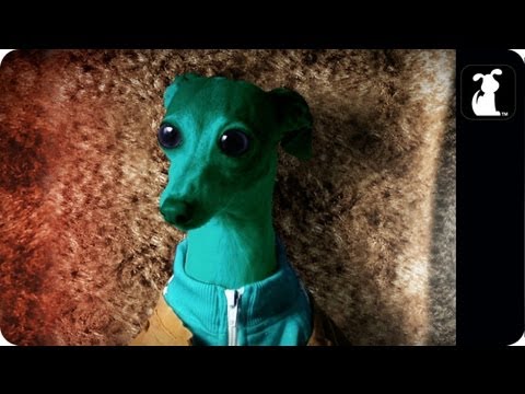 Paw Wars – Star Wars Parody