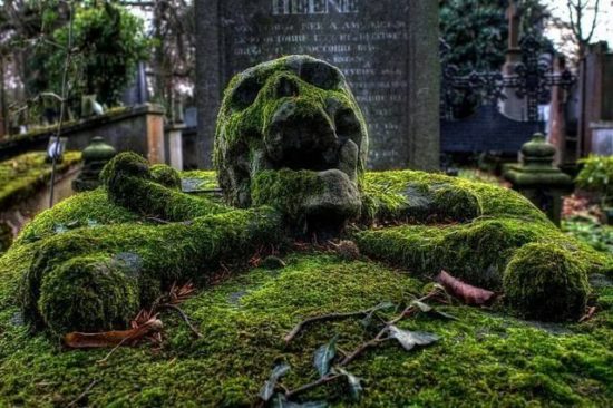 La pierre tombale de Draven