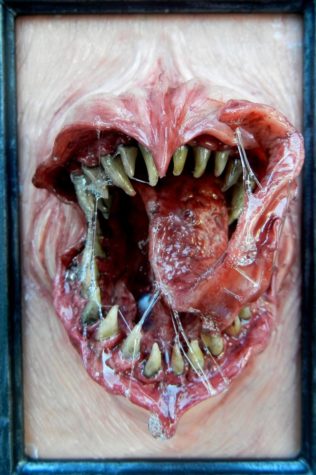 Dogzillalives Framed Monster Close up