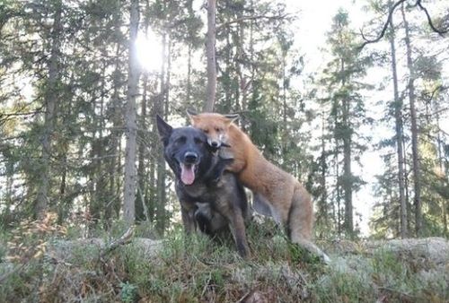 Cap und Capper Real Life: Sniffer und Tinni