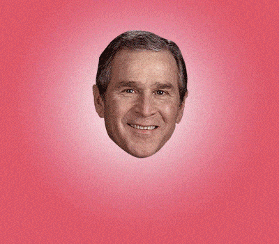 Przeciągnij królową Bush