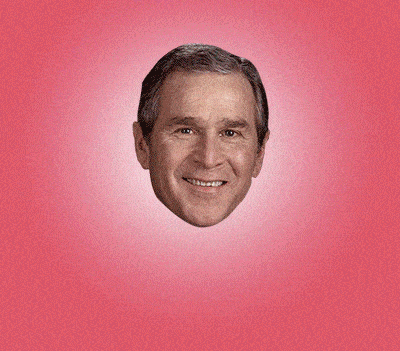 Drag Queen Bush