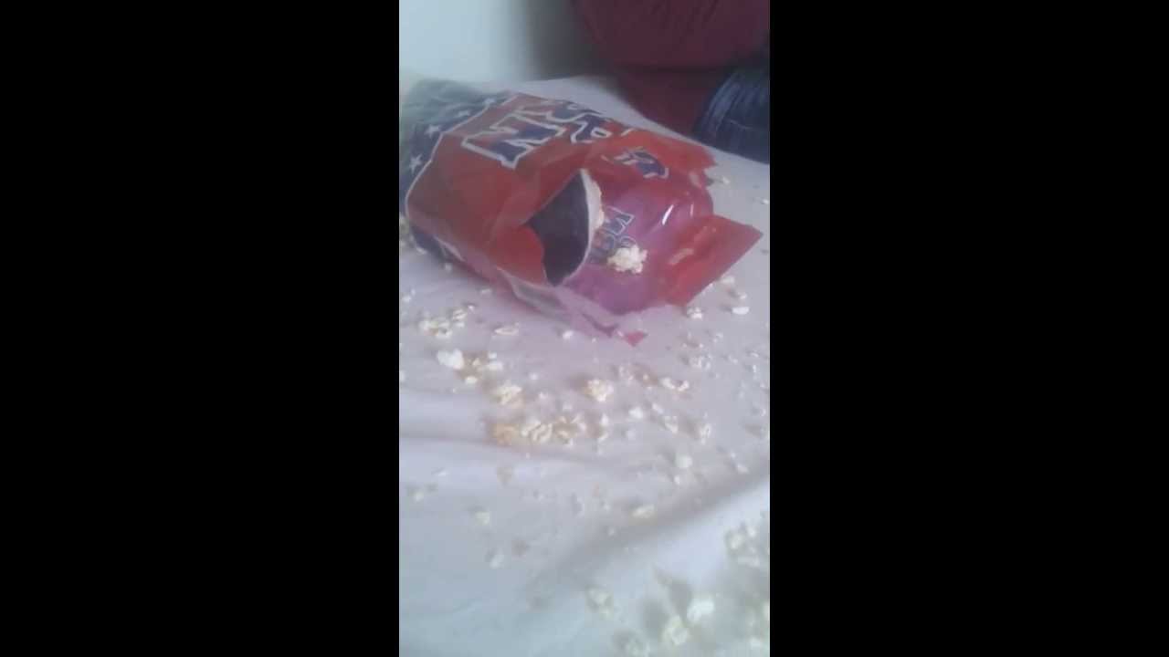 Ein Meerschweinchen im Rausch des Popcorns