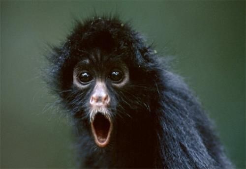 Ohh noo! It's monday again!