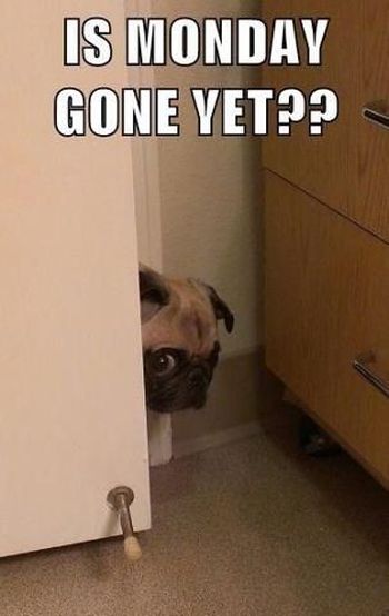 Is monday gone yet?