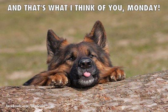 And that's what i think of you, Monday!