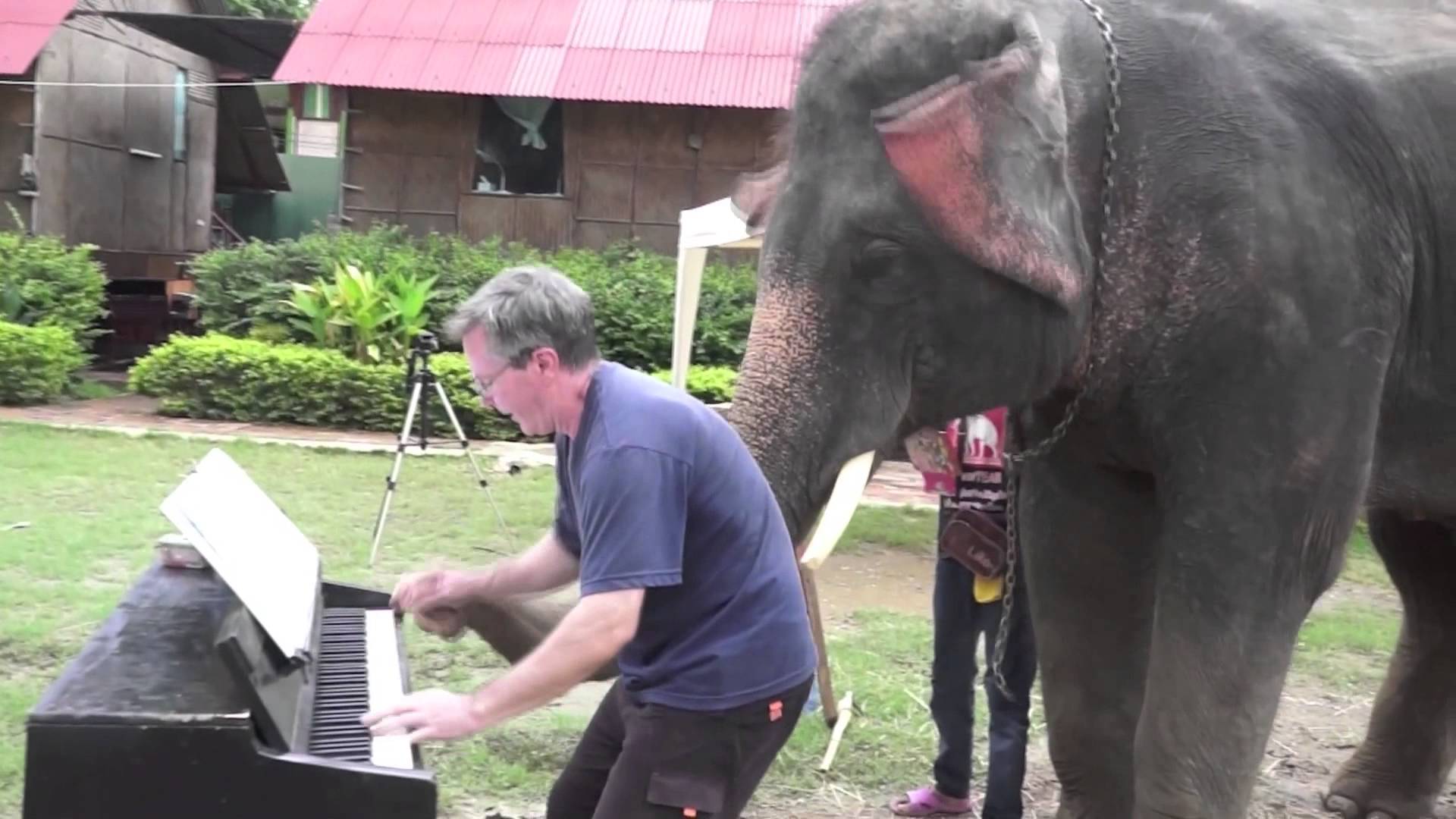 Klavierduo mit Peter dem Elefanten