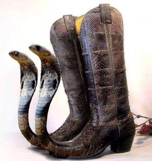 Leningradské kovbojské boty Texas Edition