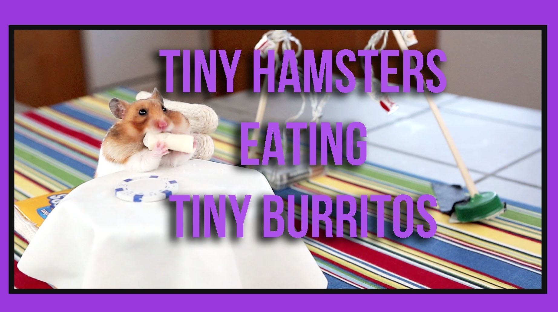 tiny hamsters eating tiny burrit