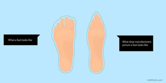 Wulff Morgenthaler: 10 Wahrheiten visualisiert