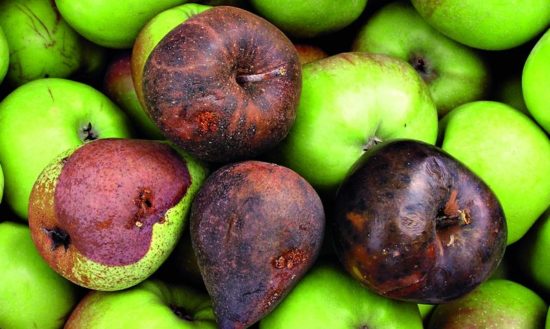 Nie war Spoofing so einfach: Apple lässt URL verschwinden