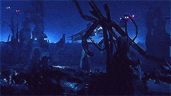 Terminator Story