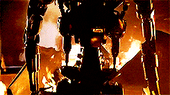 Terminator Story