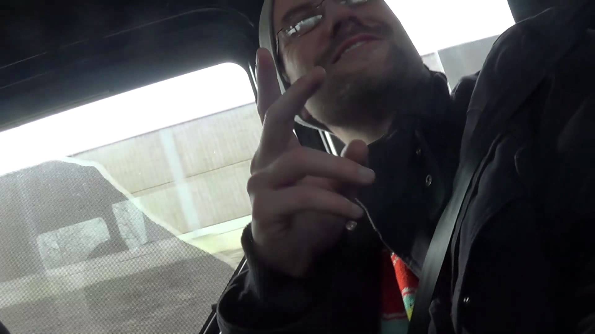 Abstürzende Brieftauben in der Schweiz 2014