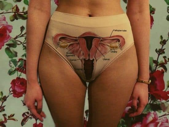 Anatomical women's underwear