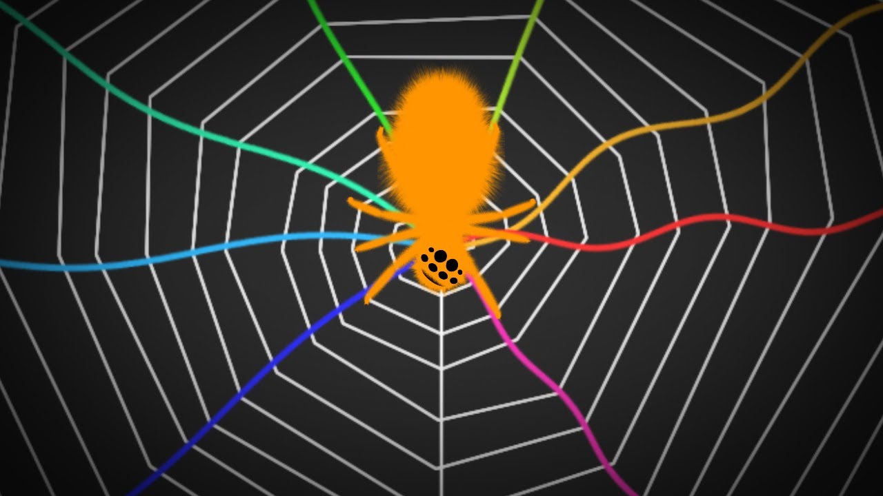 spinnen tunen ihre netze wie ein