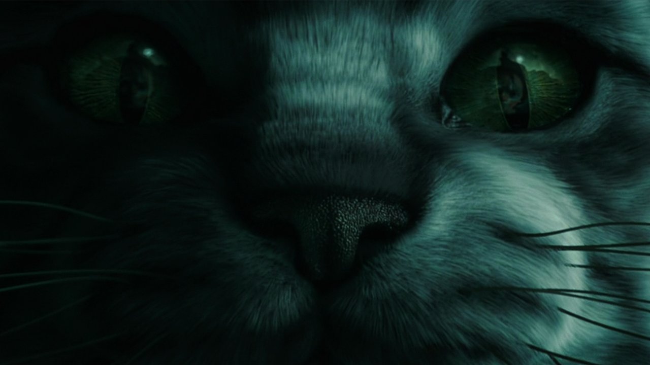 Supercats: Supercut kotów w filmach