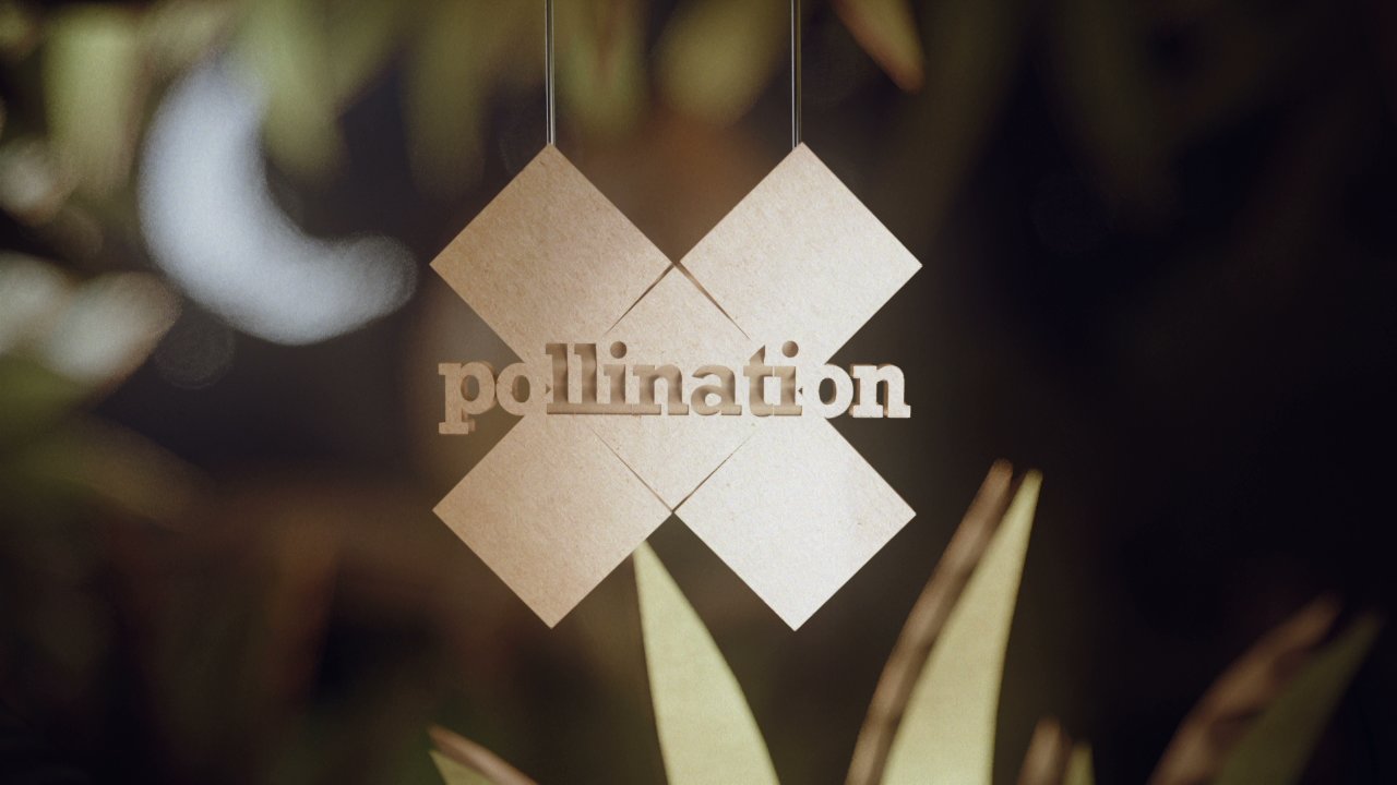 X - pollinisation