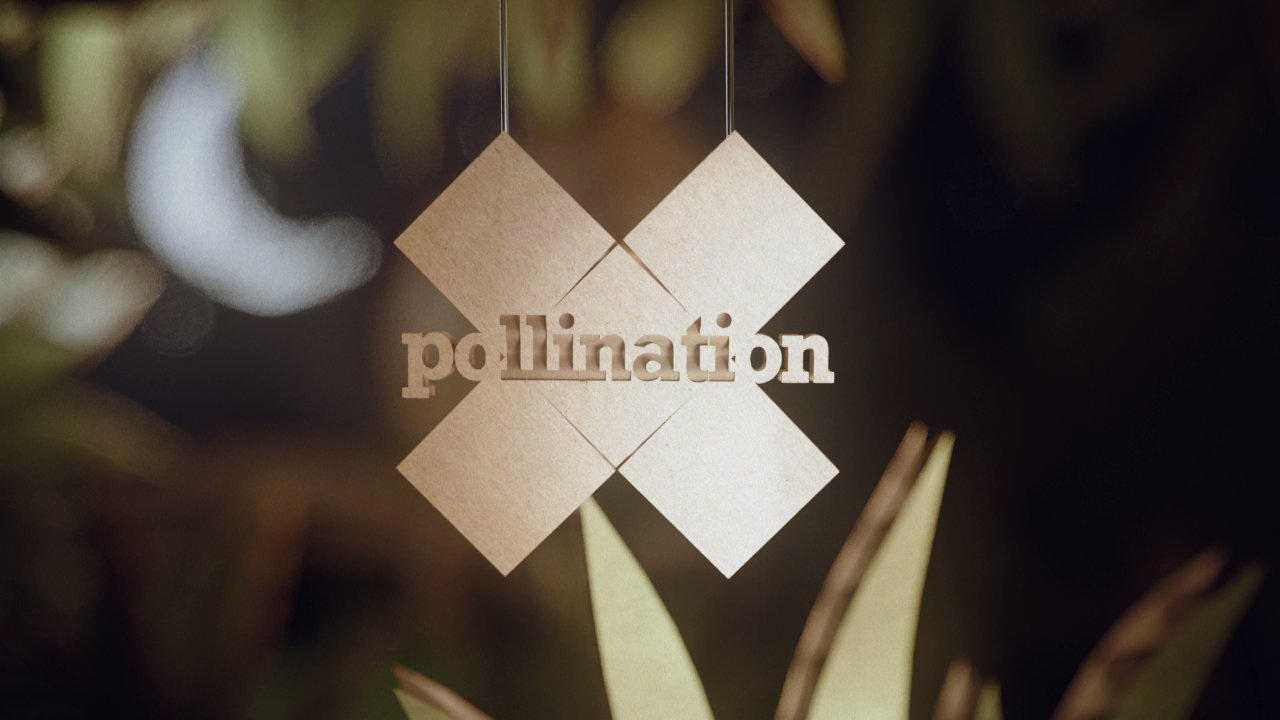 X – Pollination