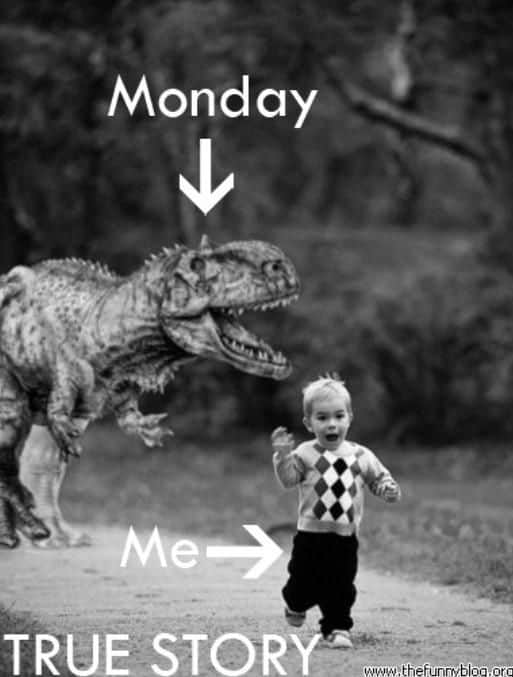 Do you wanna run from Monday too?
