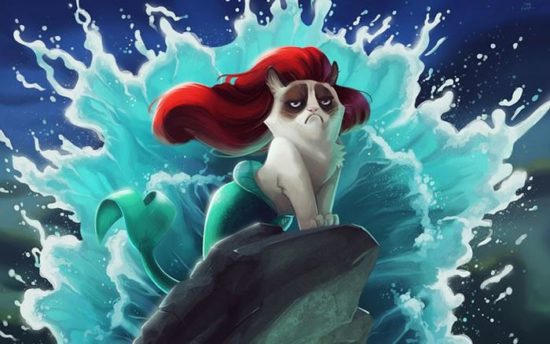 Cat Ariel grumpy