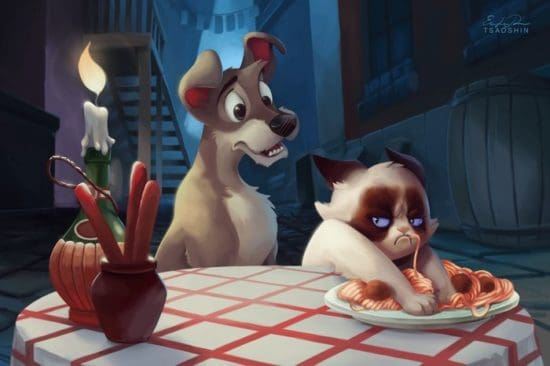 Grumpy Cat Susi und Strolchi