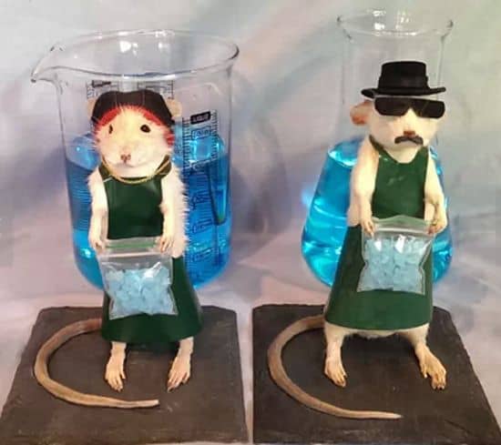 Walter White/Heisenberg and Jesse Pinkman