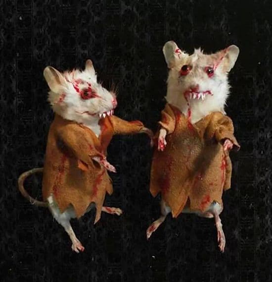 The Walking Dead Zombie