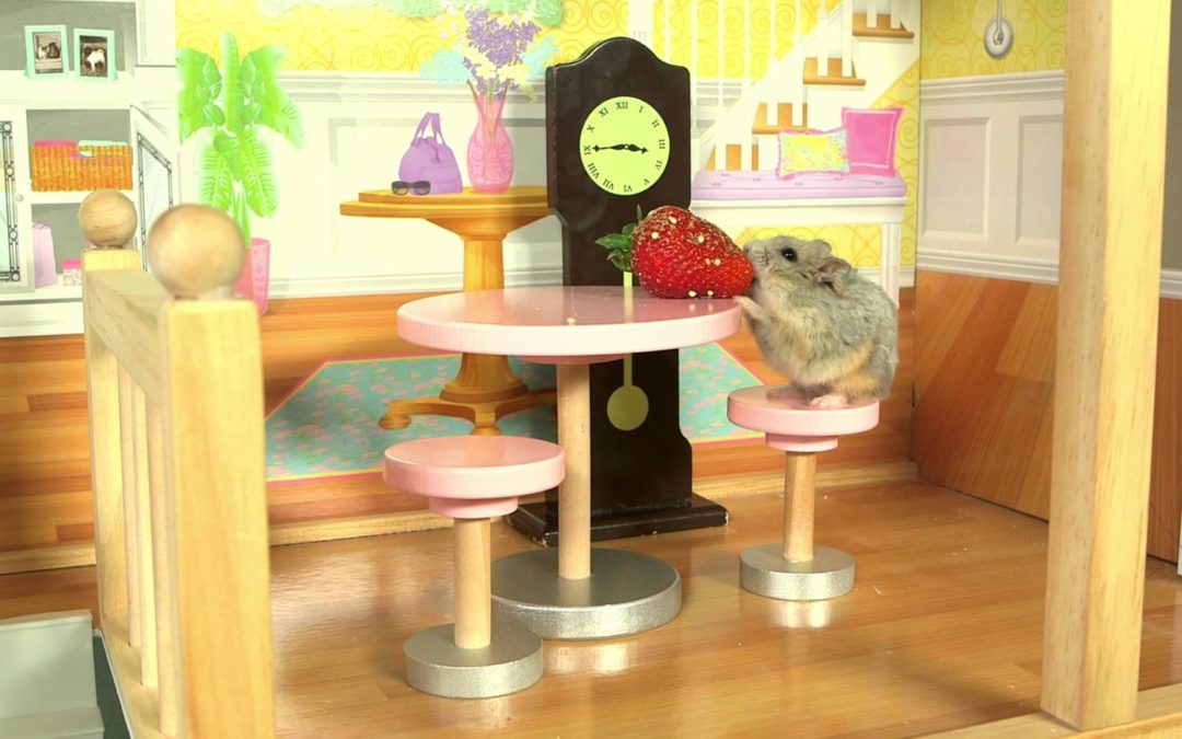 Ein kleiner Hamster in einem kleinen Haus