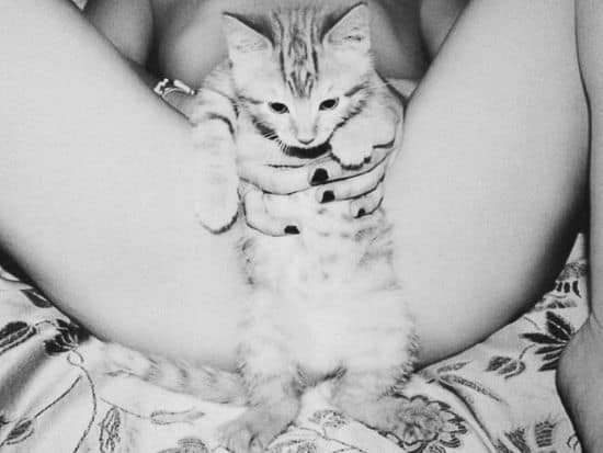 Pussy
