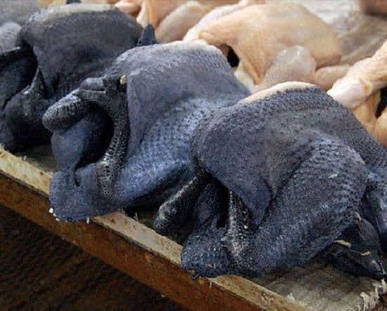 Ayam Cemani