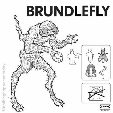 New at IKEA: Brundlefly